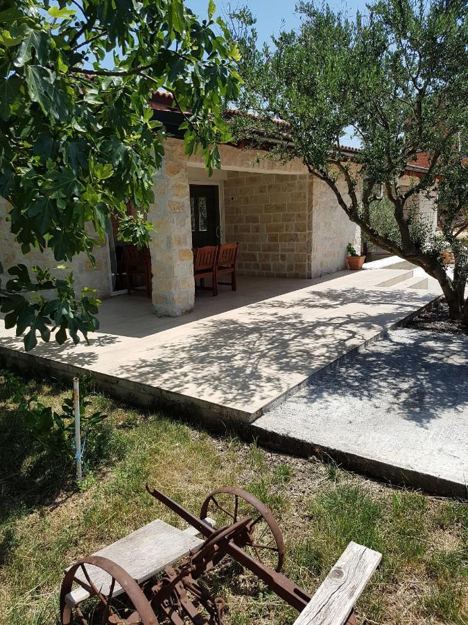 Apartmani Morovi Dvori دراغ المظهر الخارجي الصورة